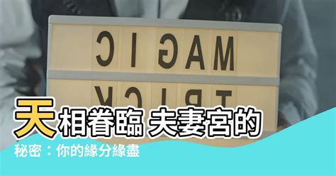 天相夫妻宮離婚|【天相夫妻宮離婚】天相夫妻宮離婚：5大優點讓你重獲自由！絕。